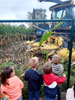 Onze kleuters gaan kijken naar de mais die afgedaan werd!